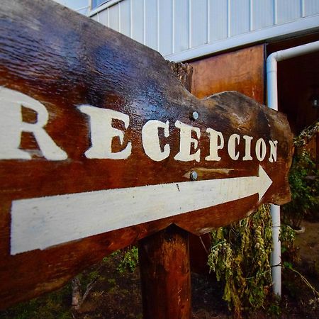 Hostal Parediso Punta Arenas Zewnętrze zdjęcie